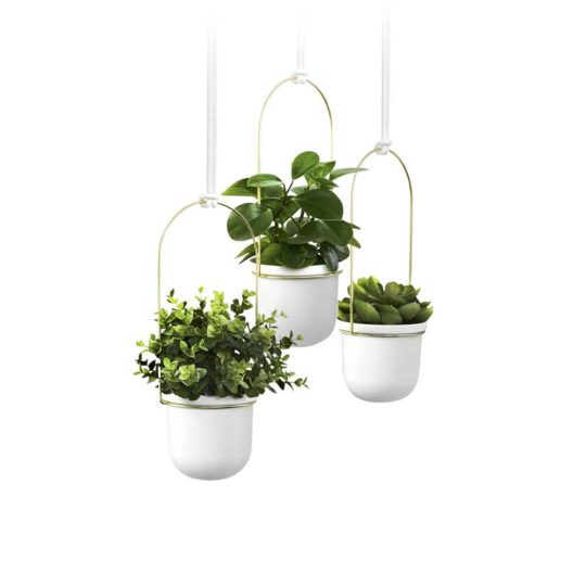 The Triflora Hanging Planter is your ideal solution for herbs, succulents, vine plants, juicy cherry tomatoes or indoor plants