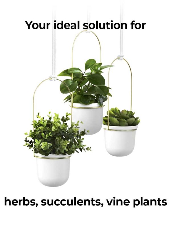 The Triflora Hanging Planter is your ideal solution for herbs, succulents, vine plants, juicy cherry tomatoes or indoor plants