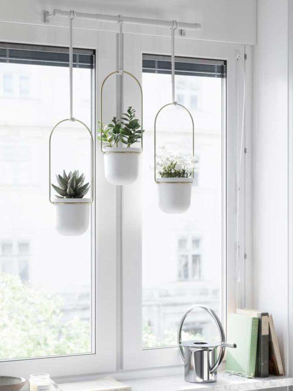 The Triflora Hanging Planter is your ideal solution for herbs, succulents, vine plants, juicy cherry tomatoes or indoor plants