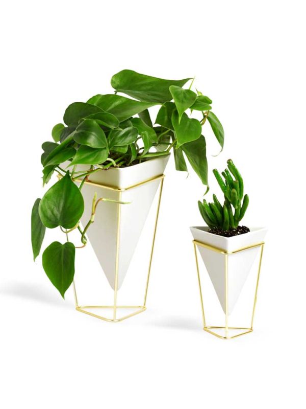 Trigg Desktop Planter is a geometric tabletop vessel, lending a modern, contemporary edge to any space.