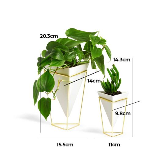 Trigg Desktop Planter is a geometric tabletop vessel, lending a modern, contemporary edge to any space.