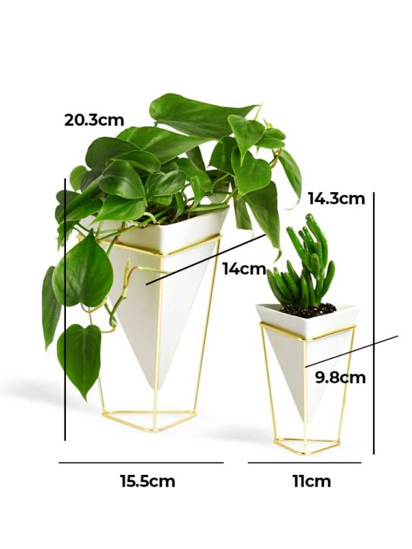 Trigg Desktop Planter is a geometric tabletop vessel, lending a modern, contemporary edge to any space.