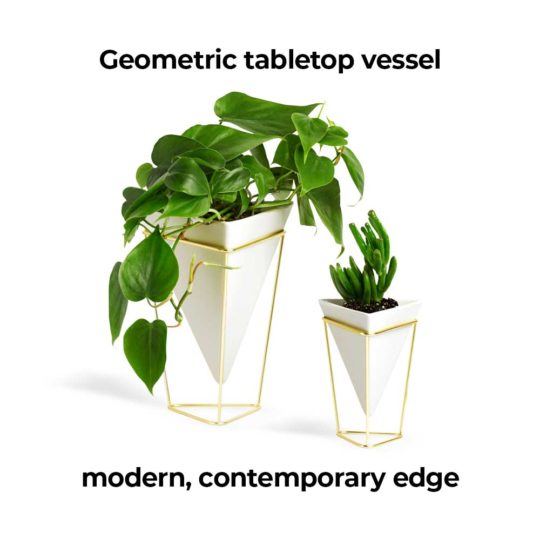 Trigg Desktop Planter is a geometric tabletop vessel, lending a modern, contemporary edge to any space.