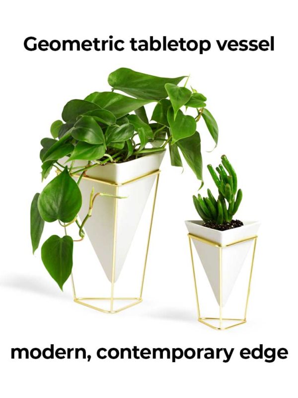 Trigg Desktop Planter is a geometric tabletop vessel, lending a modern, contemporary edge to any space.