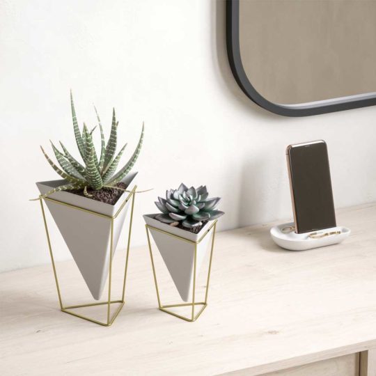 Trigg Desktop Planter is a geometric tabletop vessel, lending a modern, contemporary edge to any space.