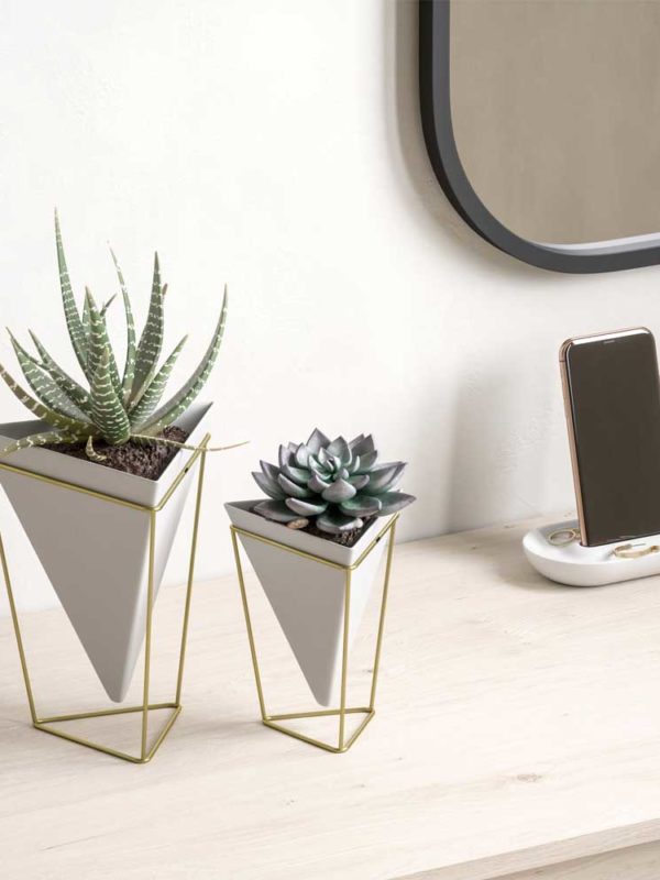 Trigg Desktop Planter is a geometric tabletop vessel, lending a modern, contemporary edge to any space.