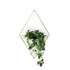 The Trigg Wall Vessel Planter adds lush greenery to your room, style personified.