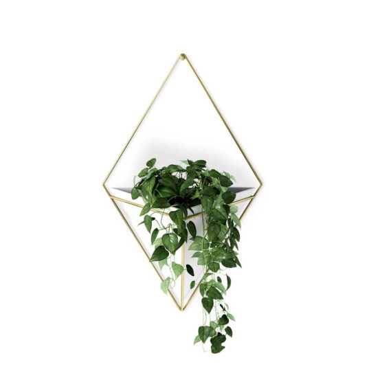 The Trigg Wall Vessel Planter adds lush greenery to your room, style personified.