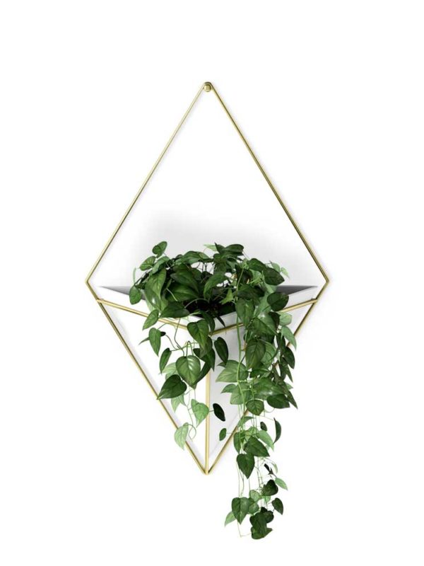 The Trigg Wall Vessel Planter adds lush greenery to your room, style personified.