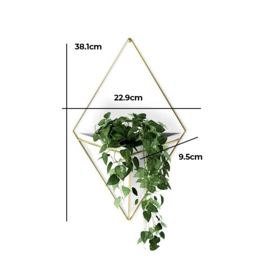 The Trigg Wall Vessel Planter adds lush greenery to your room, style personified.