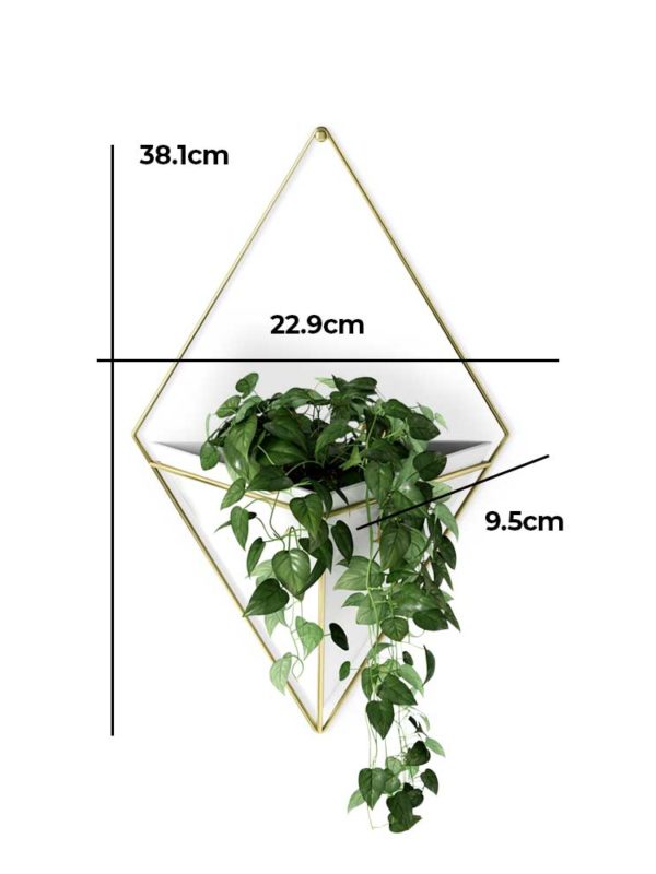 The Trigg Wall Vessel Planter adds lush greenery to your room, style personified.