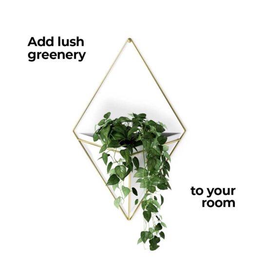 The Trigg Wall Vessel Planter adds lush greenery to your room, style personified.