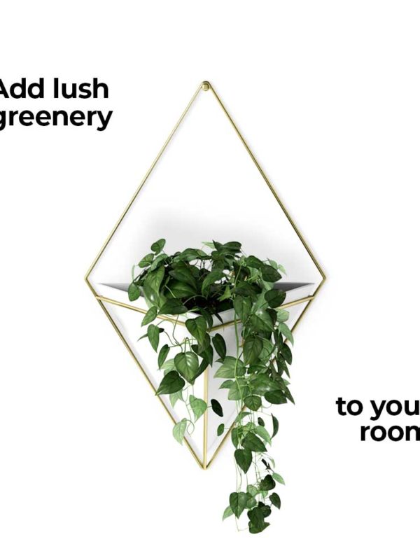 The Trigg Wall Vessel Planter adds lush greenery to your room, style personified.