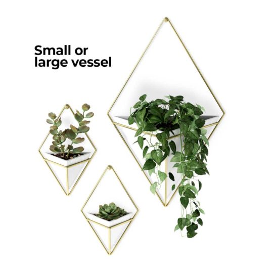 The Trigg Wall Vessel Planter adds lush greenery to your room, style personified.