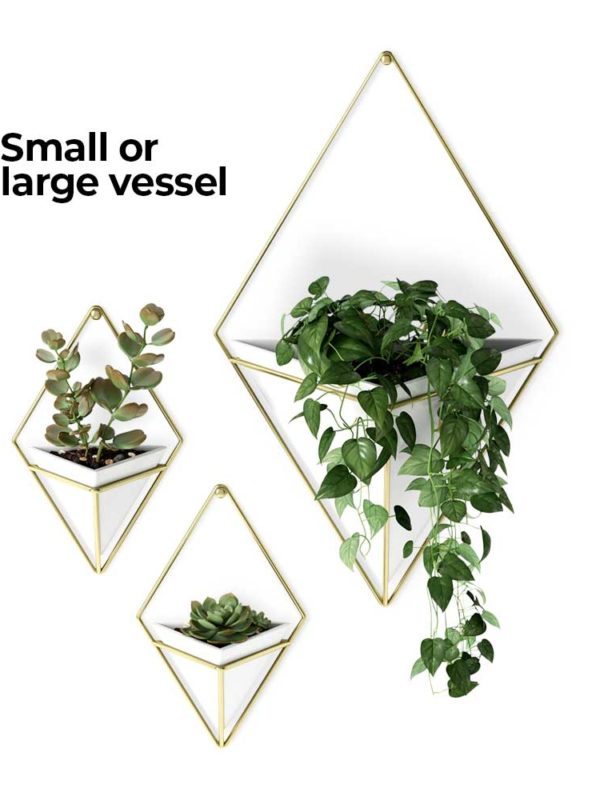 The Trigg Wall Vessel Planter adds lush greenery to your room, style personified.