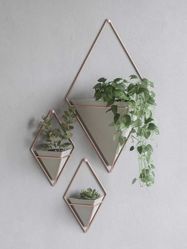 The Trigg Wall Vessel Planter adds lush greenery to your room, style personified.