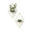 The Trigg Wall Vessel Planter adds lush greenery to your room, style personified.