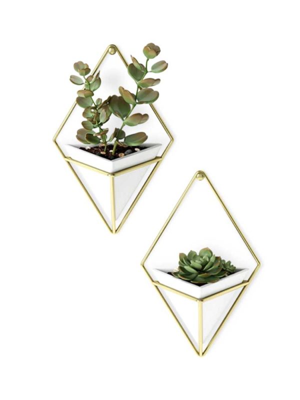 The Trigg Wall Vessel Planter adds lush greenery to your room, style personified.