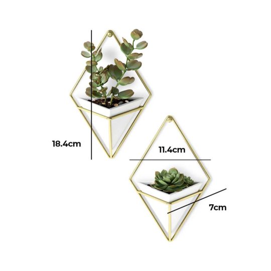 The Trigg Wall Vessel Planter adds lush greenery to your room, style personified.