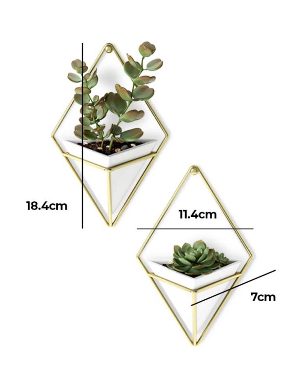 The Trigg Wall Vessel Planter adds lush greenery to your room, style personified.