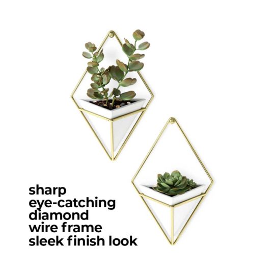 The Trigg Wall Vessel Planter adds lush greenery to your room, style personified.