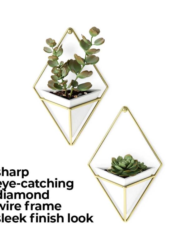 The Trigg Wall Vessel Planter adds lush greenery to your room, style personified.